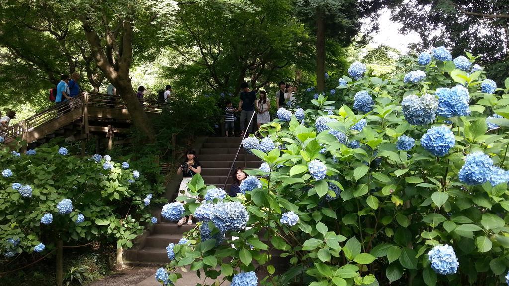 Enoshima Guest House 134 Fujisawa Dış mekan fotoğraf